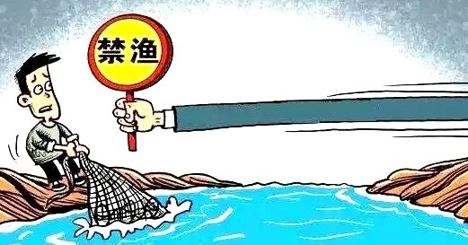非法捕鱼54斤获刑还要放流鱼苗
