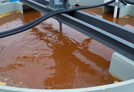 农村生活污水治理怎样精准施策？